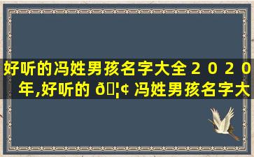 好听的冯姓男孩名字大全２０２０年,好听的 🦢 冯姓男孩名字大全2020年 🐱 属兔